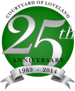 25th anniversary
